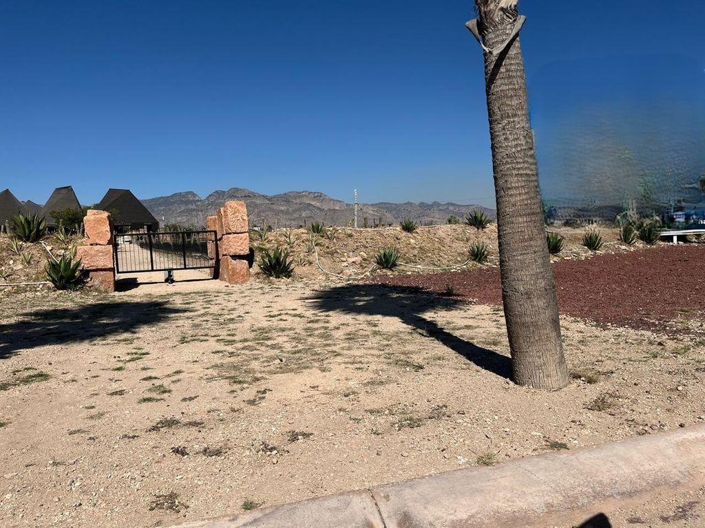 Foto de la galeria de imagenes